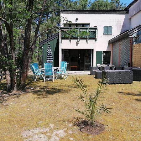 Superbe Appartement Dans La Pinede, Proche Ocean Lacanau Exteriör bild